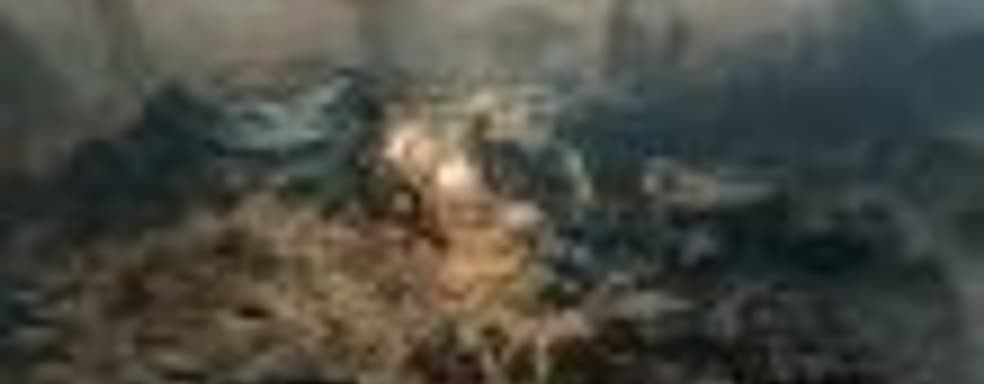 Трейлер и подробности о боевой ролевой игре Warhammer 40000: Inquisitor – Martyr