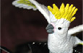 GeForce 9800 GT/GTX 260 производства Gigabyte