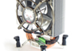 Titan Skalli (TTC-NC05TZ/NPW(RB))