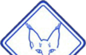 Felidarium №2. Имя вычислительное.