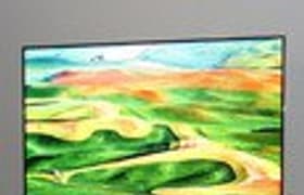 Samsung CIS Forum 2012: