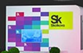 Сколково: мифы и реальность.