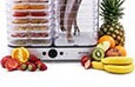 Дегидратор Gochu D-310: