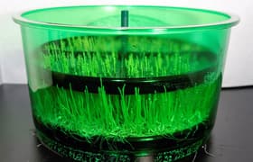 Автоматический проращиватель семян Tribest Freshlife FL-3000: