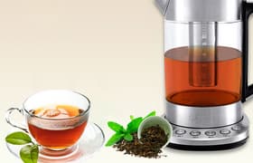 Электрический чайник Kitfort KT-622 с колбой для заварки чая: