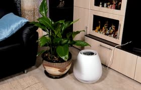 Видеообзор мойки воздуха Polaris PAW 4204Di: