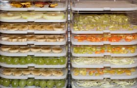 Как выбрать дегидратор: