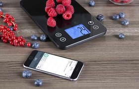 Кухонные весы Redmond SkyScale 741S-E: