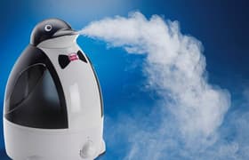 Как выбрать бытовой увлажнитель воздуха: