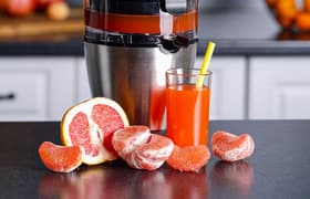 Соковыжималка для цитрусовых Rawmid Mini RMJ-01: