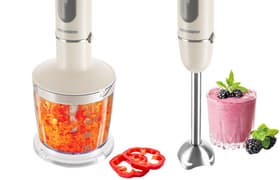 Погружной блендер Redmond RHB-2994: