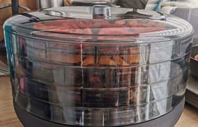 Сушилка для овощей и фруктов Gemlux GL-FD-05R