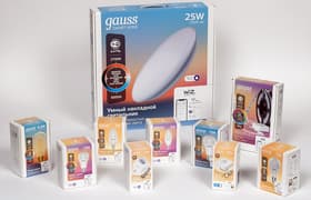 Умное освещение Gauss (светильник, лампы, лента, розетка, датчик движения):