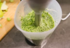 Погружной блендер Bosch MSM24100: