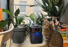 Ультразвуковой увлажнитель воздуха Polaris PUH 4066 Wi-Fi IQ Home: