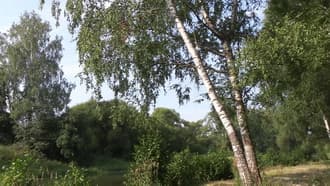 Видеокамера Canon Legria Mini X