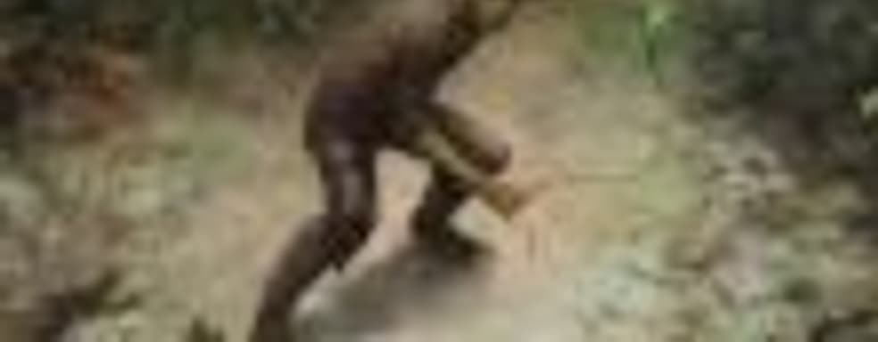 Torment: Tides of Numenera перенесли на 2016 год, из inXile ушёл глава проекта