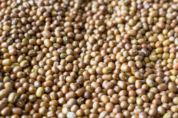 Электрическая мельница Komo FidiFloc 21