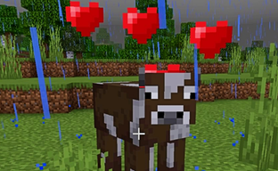 «Я шлёпаю коров едой, и она их оплодотворяет» Разработчиков Minecraft раскритиковали за лицемерное отношение к контенту