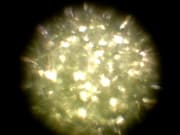 Документ-камеры Doko DS08FS и Doko DC810F