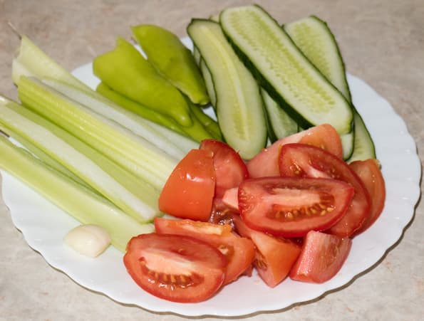 Двухшнековая горизонтальная соковыжималка Omega TWN32R