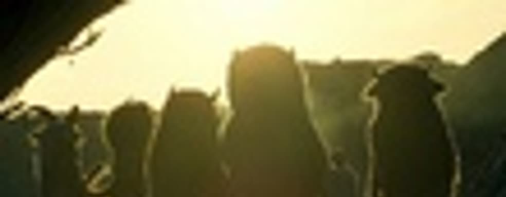 Where the Wild Things Are на всех консолях