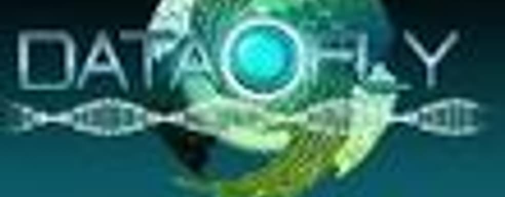 Тизер Data-Fly