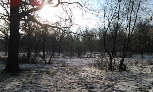 Обзор Huawei W2. Демонстрационный снимок