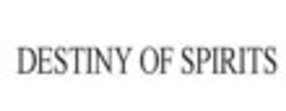 Sony готовит игру Destiny of Spirits