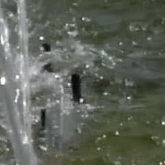 Видеосъемка фотоаппаратом Nikon D500