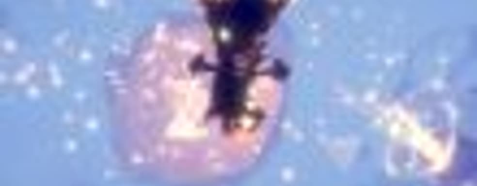 Fe — как вы яхту назовёте...