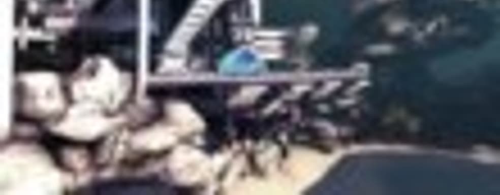 Sanctum 2 в этом году