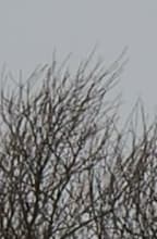 Видеосъемка фотоаппаратом Olympus OM-D E-M5 Mark II