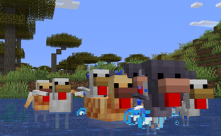 В Minecraft появились новые «адаптивные» курицы и яйца, а на кактусах раскрываются цветы. Mojang удивляет новинками