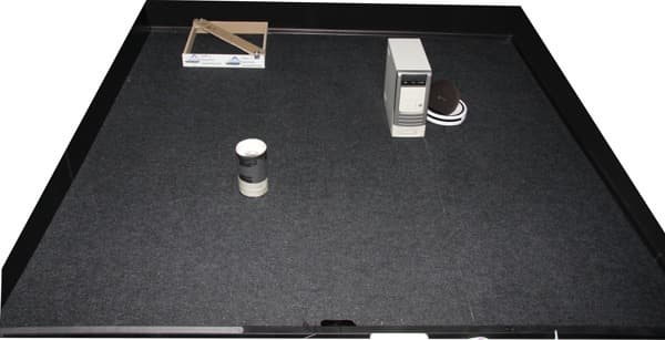 iBoto Aqua X310, тест уборки