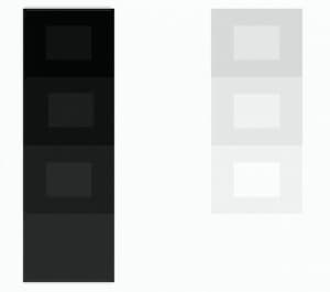 Gray scale test pattern