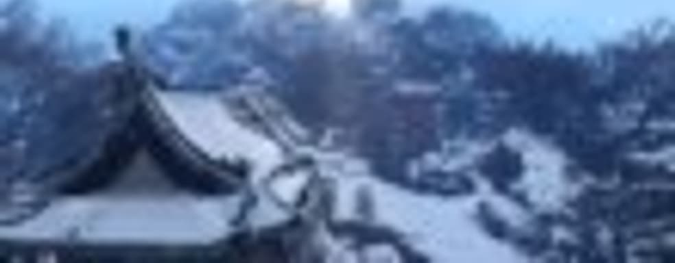 Геймплейный трейлер King of Wushu