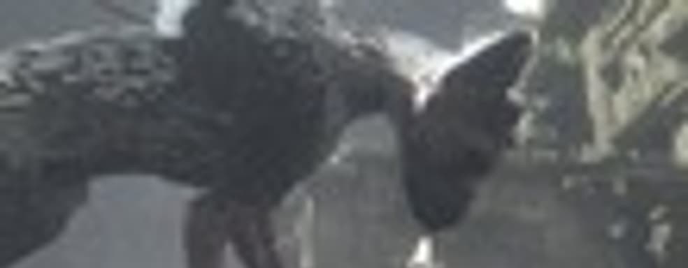 Разработка The Last Guardian медленно продвигается