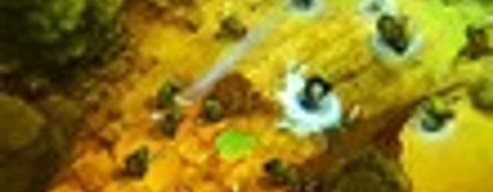 Разработчики Project Phoenix собрали более $1 млн.