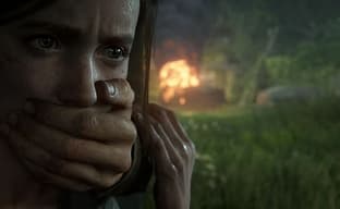 Глава PlayStation поддержал Нила Дракманна. Он считает, что не стоит беспокоиться о ненависти к The Last of Us 2.