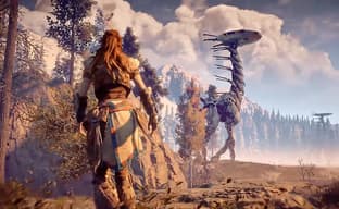 Для РС-версии Horizon Zero Dawn вышел патч, устранивший проблемы с травой на видеокартах AMD