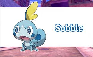 Фанат покемонов арестован за продажу взломанного существа