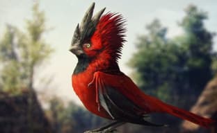 У CD Projekt отличный день на фондовой бирже. Инвесторы надеются на восстановление доверия игроков