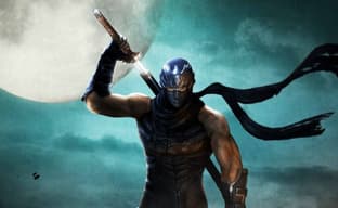 Студия-разработчик Ninja Gaiden заинтересована в играх в открытом мире