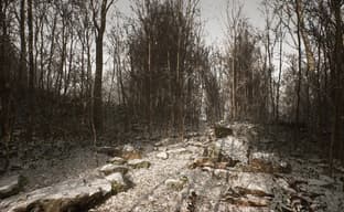 Новый Silent Hill? Разработчики загадочной Abandoned скоро раскроют секрет