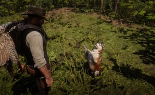 В Red Dead Redemption 2 можно завести собаку с помощью мода