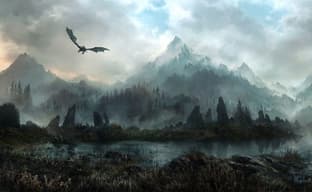 Игроку в Skyrim пришлось обокрасть стражника, чтобы помочь ему