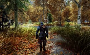 Как выглядит The Elder Scrolls V: Skyrim с 500 модами и трассировкой лучей