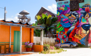 Forza Horizon 5 удалось запустить без видеокарты. Уровень оптимизации впечатлил зрителей