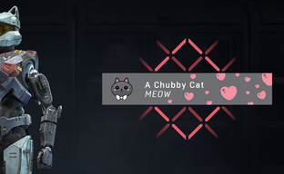 Спартанцы в Halo Infinite теперь могут экипировать шлемы с кошачьими ушами